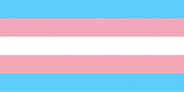 Brasil é o país que mais mata travestis e transexuais, de acordo com ONG europeia.