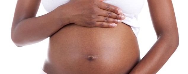 gravida negra